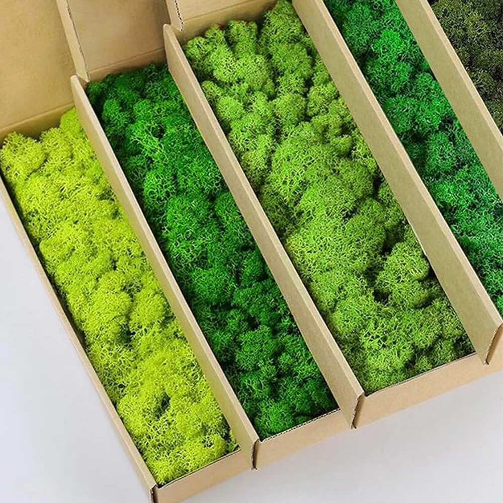 Terrarium Moss Art - 20-200g พืชสีเขียวประดิษฐ์หญ้าปลอม Eternal Life MOSS Grassfor