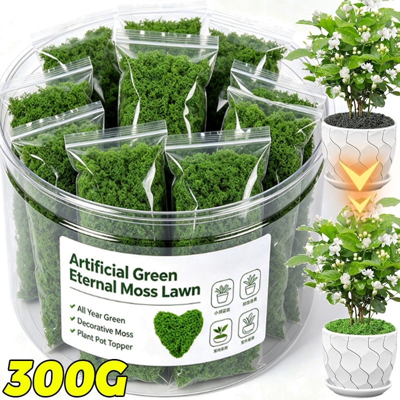Terrarium Moss Art - ต้นไม้ประดิษฐ์สีเขียว มอสอมตะ สำหรับงาน DIY ตกแต่งสวนขนาดเล็ก หญ้าเทียม