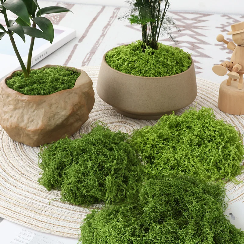 แผ่นหญ้าเทียม 1 ชิ้น สำหรับตกแ - Terrarium Moss Art บทวิจารณ์และราคา