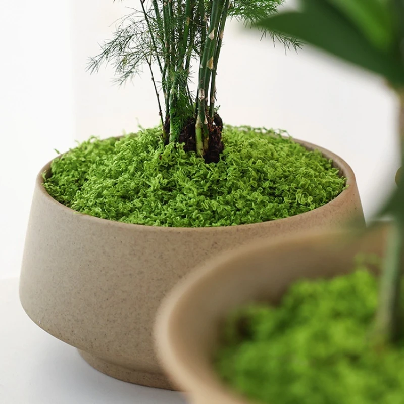 แผ่นหญ้าเทียม 1 ชิ้น สำหรับตกแ - Terrarium Moss Art บทวิจารณ์และราคา