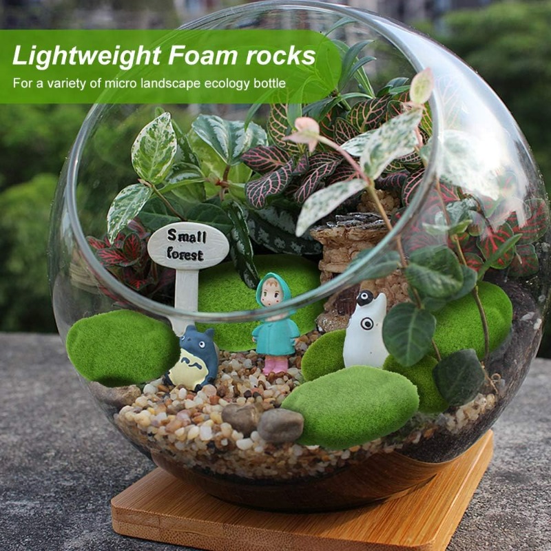 หินมอสเทียม 50/5 ชิ้น หินมอสสี - Terrarium Moss Art บทวิจารณ์และราคา