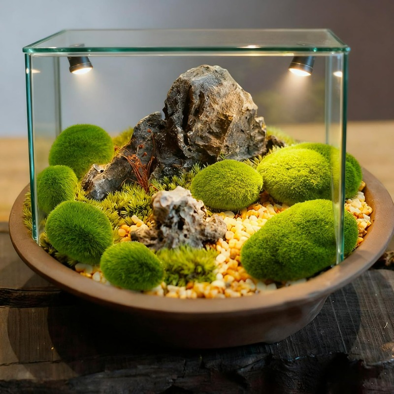 หินมอสเทียม 50/5 ชิ้น หินมอสสี - Terrarium Moss Art บทวิจารณ์และราคา