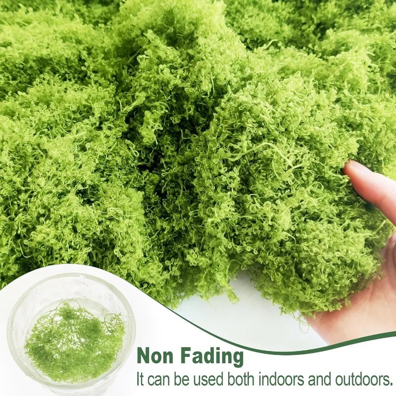 ต้นไม้ประดิษฐ์สีเขียว มอสอมตะ  - Terrarium Moss Art บทวิจารณ์และราคา