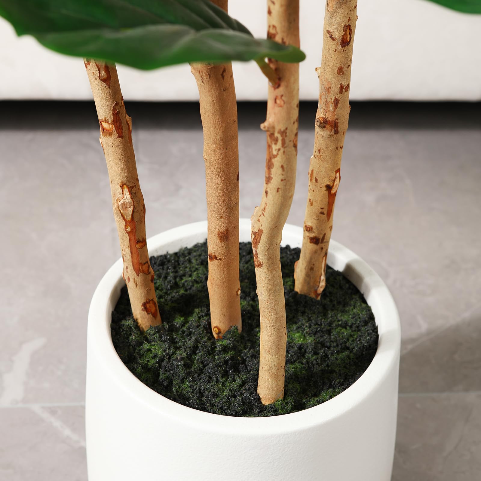 ต้นไม้ฟิกเลฟฟิลด์ประดิษฐ์ พร้อ - Terrarium Moss Art บทวิจารณ์และราคา