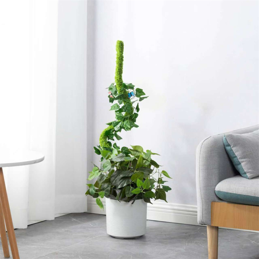 แท่งมอสส์เทียมแบบยืดหยุ่น 1 ชิ - Terrarium Moss Art บทวิจารณ์และราคา